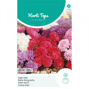 Seminte de ochiul boului pitic Color Carpet Mix, 0,5g, Horti Tops, Olanda