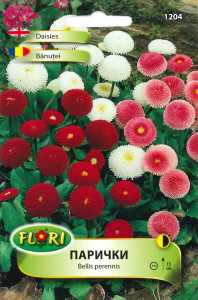 Seminte de (Paralute) / Bellis perennis mixed, 600 seminte
