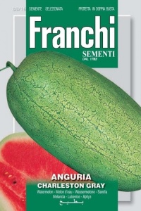 Seminte de pepene verde Charleston Gray, 6g, Franchi - Img 1