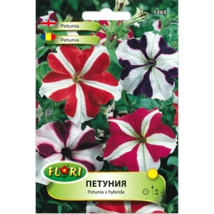 Seminte de Petunie stelata mix, 1g, Florian