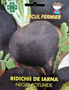 Seminte de ridichii de iarna negre rotunde