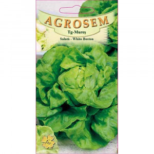Salata 4 anotimpuri - White Boston, soi productiv cu frunze netede 3 gr.