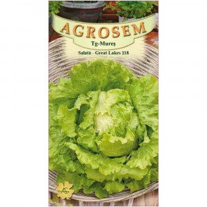 Salata tip iceberg, Great Lakes, Agrosem, 2gr