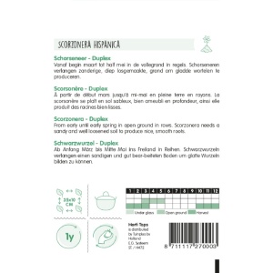 Seminte de Scortonera, 2.5g, Horti Tops, Olanda - Img 2