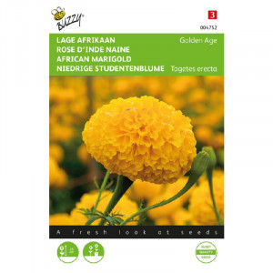 Seminte de Tagetes erecta/craite Golden Age, 0,5g, Buzzy, Olanda
