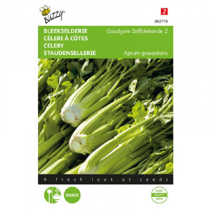 Seminte de telina pentru frunze Golden Self Blanching 2, 1 g, Buzzy, Olanda