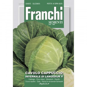 Seminte de varza alba Invernale Di Langedijk 4, 8g, Franchi