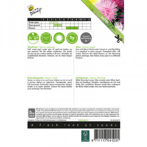 Seminte de Aster unicum mix, 1g, Buzzy, Olanda