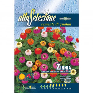 Seminte de Carciumareasa pitica Thumbelina multicolor, 1g, Franchi