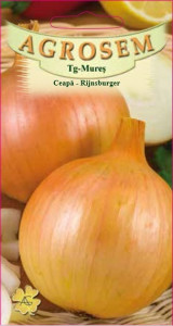 Seminte de ceapa alba Rijnsburger 2 grame
