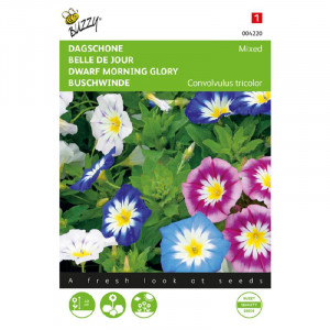 Seminte de Convolvulus Glory Mix, 1,5g, Buzzy, Olanda