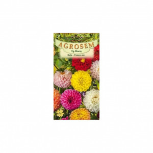 Seminte de dalia Pompon mix 0.3gr, Agrosem