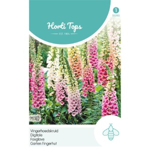 Seminte de Digitalis mix, 0,5g, Horti Tops, Olanda