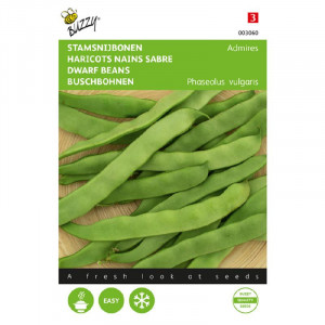 Seminte de fasole pitica Admires, 30g, Buzzy, Olanda