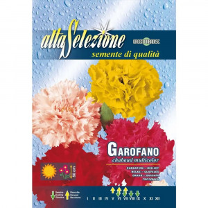 Seminte de Garoafa multicolor, 0.6g, Franchi