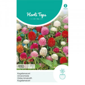 Seminte de Gomphrena Choice mix, 0,25g, Horti Tops, Olanda