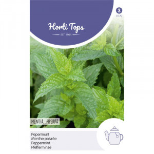 Seminte de menta, 0,1g, Horti Tops, Olanda