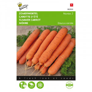 Seminte de morcov de vara Nantes 2, 6g, Buzzy, Olanda