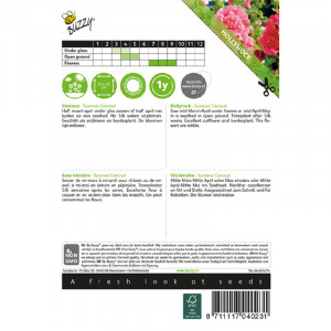 Seminte de nalba mare Summer Carnival, 0,5g, Buzzy, Olanda