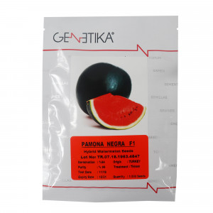 Seminte de pepene verde, Pamona Negra F1, 500 seminte, Genetika