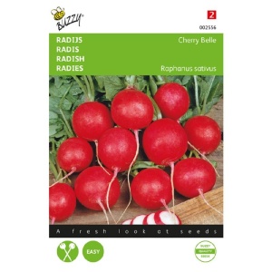 Seminte de ridichi Bel Image 2, 8 g/plic, Buzzy, Olanda