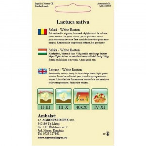 Salata 4 anotimpuri - White Boston, soi productiv cu frunze netede 3 gr.
