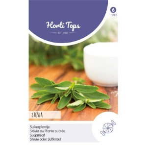 Seminte de stevia, 25 seminte/plic, Horti Tops, Olanda