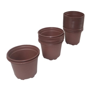Set ghivece de productie - 12 cm x 9,5 cm