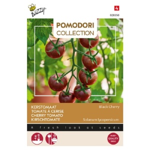 Seminte Black Cherry, rosii cherry negre cu aspect exotic, Buzzy
