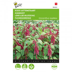 Seminte de Amaranthus Love-Lies_Bleeding, 1g, Buzzy, Olanda