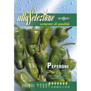 Seminte de ardei semi-iute Padron, 0.75g, Franchi