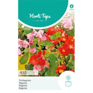 Seminte de Begonia mix, 0.05g, Horti Tops, Olanda
