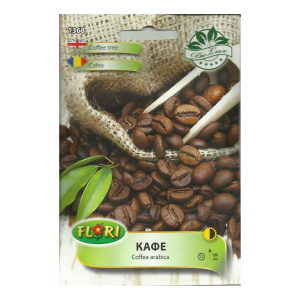 Seminte de cafea arabica, 15 seminte, Florian