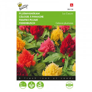 Seminte de Celosia/creasta cocosului Ice Cream mix, 0.5g, Buzzy, Olanda