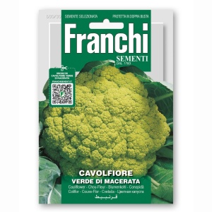 Seminte de conopida Verde di Macerata, soi semi-timpuriu, 3.2g, Franchi