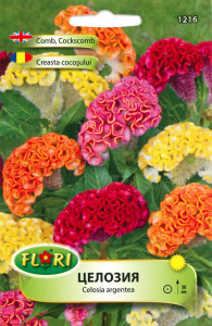 Seminte de Creasta cocosului / Celosia cristata mix, 500 seminte