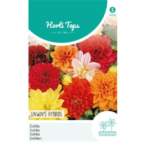 Seminte de dahlia mix, 0.75g/plic, Horti Tops, Olanda