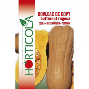Seminte de dovleac Butternut Rugosa, 3 g, Horticola