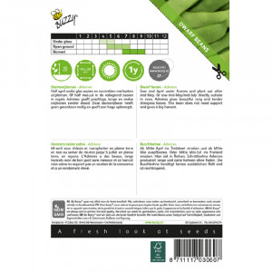 Seminte de fasole pitica Admires, 30g, Buzzy, Olanda
