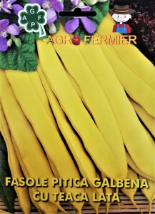 Seminte de fasole pitica galbena cu teaca lata