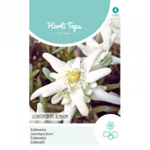 Seminte de floare de colt, 0,2g, Horti Tops, Olanda