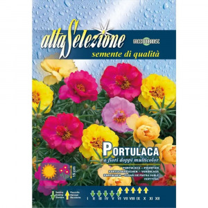 Seminte de Floare de piatra, flori duble multicolor, 0.4g, Franchi