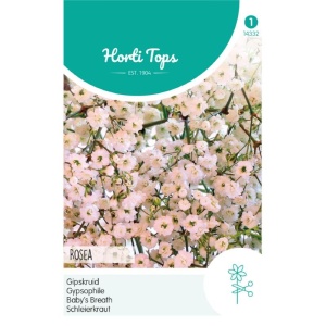 Seminte de Gypsophila Rosea, 1g, Horti Tops, Olanda