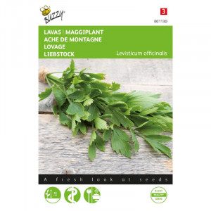 Seminte de leustean, 1,5 g, Buzzy, Olanda