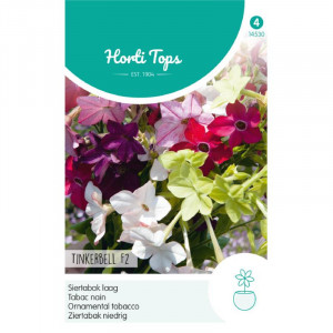 Seminte de Nicotiana Tinkerbell mix, 0,1g, Horti Tops, Olanda