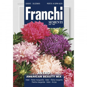 Seminte de Ochiul Boului american, Beauty Mix, 2g, Franchi