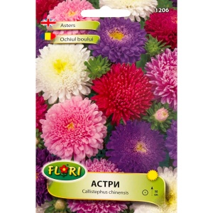 Seminte de Ochiul Boului - China Aster, Pompon mix, Florian