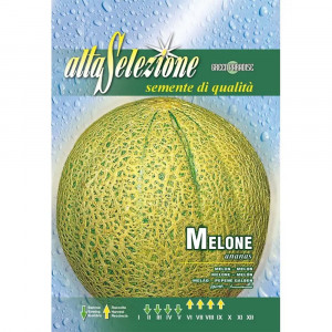 Seminte de pepene galben Ananas, 4g, Franchi