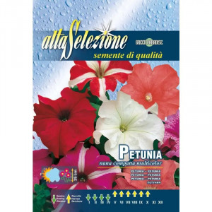 Seminte de Petunia pitica compacta multicolor, 0.4g, Franchi