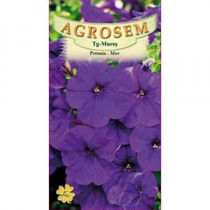 Seminte de Petunie mov, cu flori mari violet, deosebit de frumoase, Agrosem, 0,1 g.